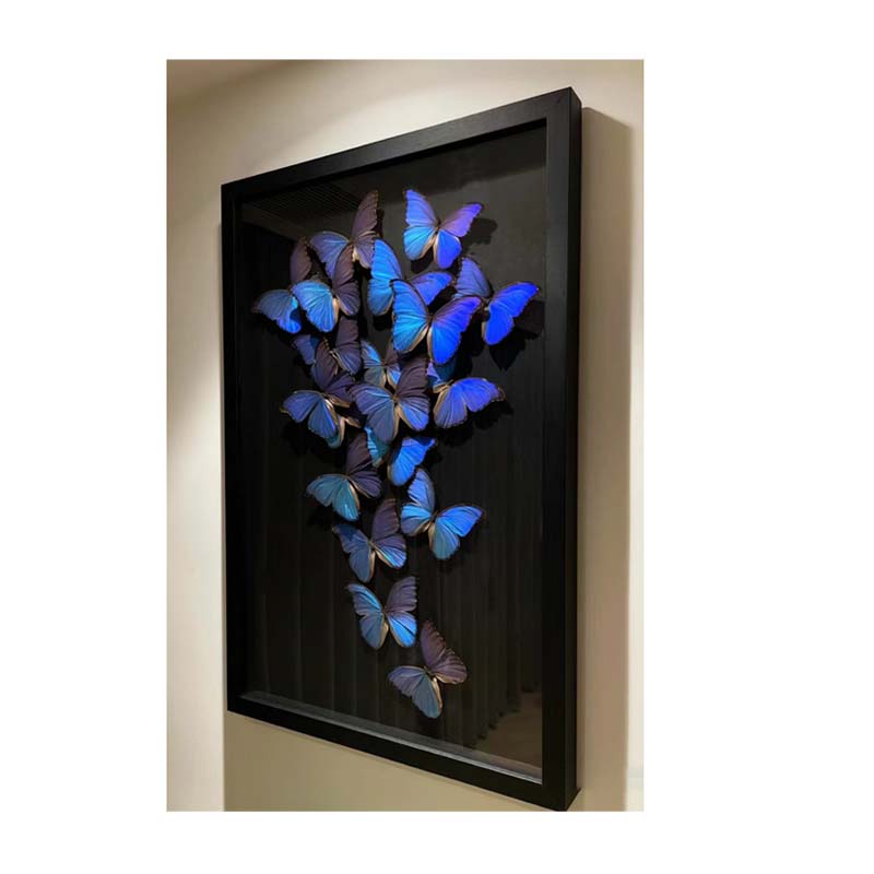 Buy Butterfly Frame Papilio Torquatus Butterfly Suppliers & Wholesalers - CF Butterfly